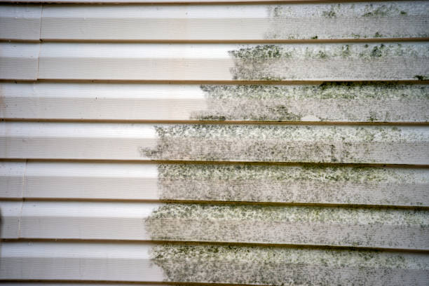 Affordable siding repair and maintenance services in Seacliff, CA